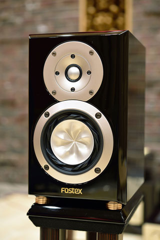 Fostex GX 100 Limited-21