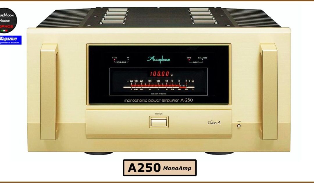 Accuphase A250 MonoAmp