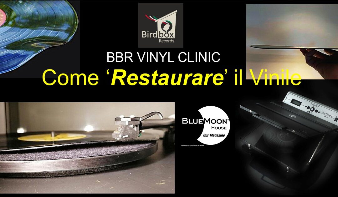 BirdBox – Vinyl Restoration