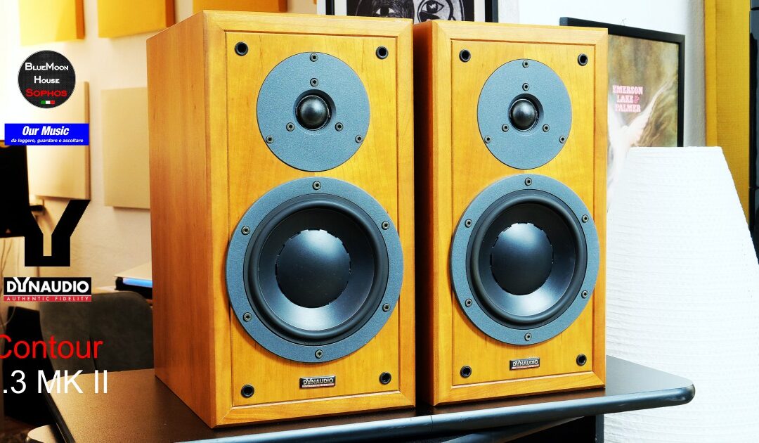 Dynaudio Contour 1.3 mkII