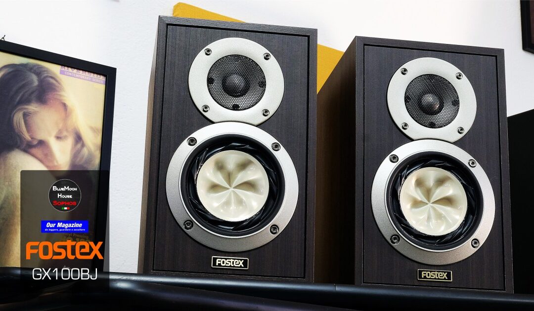 Fostex GX100BJ – 2 Ways Speakers