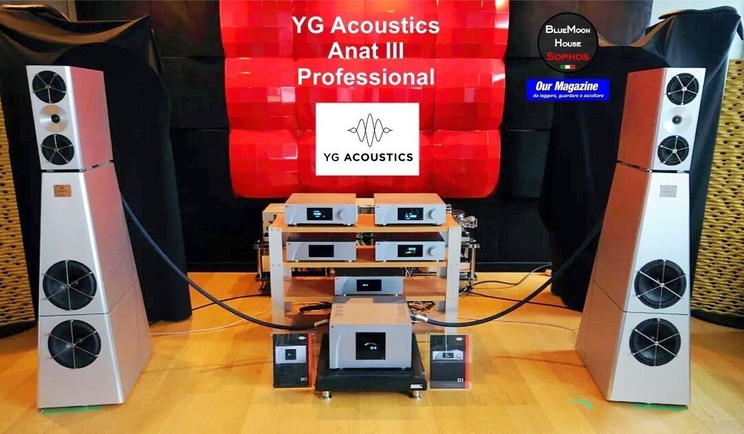 YG Acoustics Anat-III Professional – Usato C/V