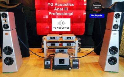 YG Acoustics Anat-III Professional – Usato C/V